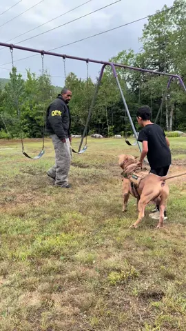 My youngest son (9) training with his dog teaching him how to protect while at the park! #fyp #foryou #DogTraining #dogsoftiktok 