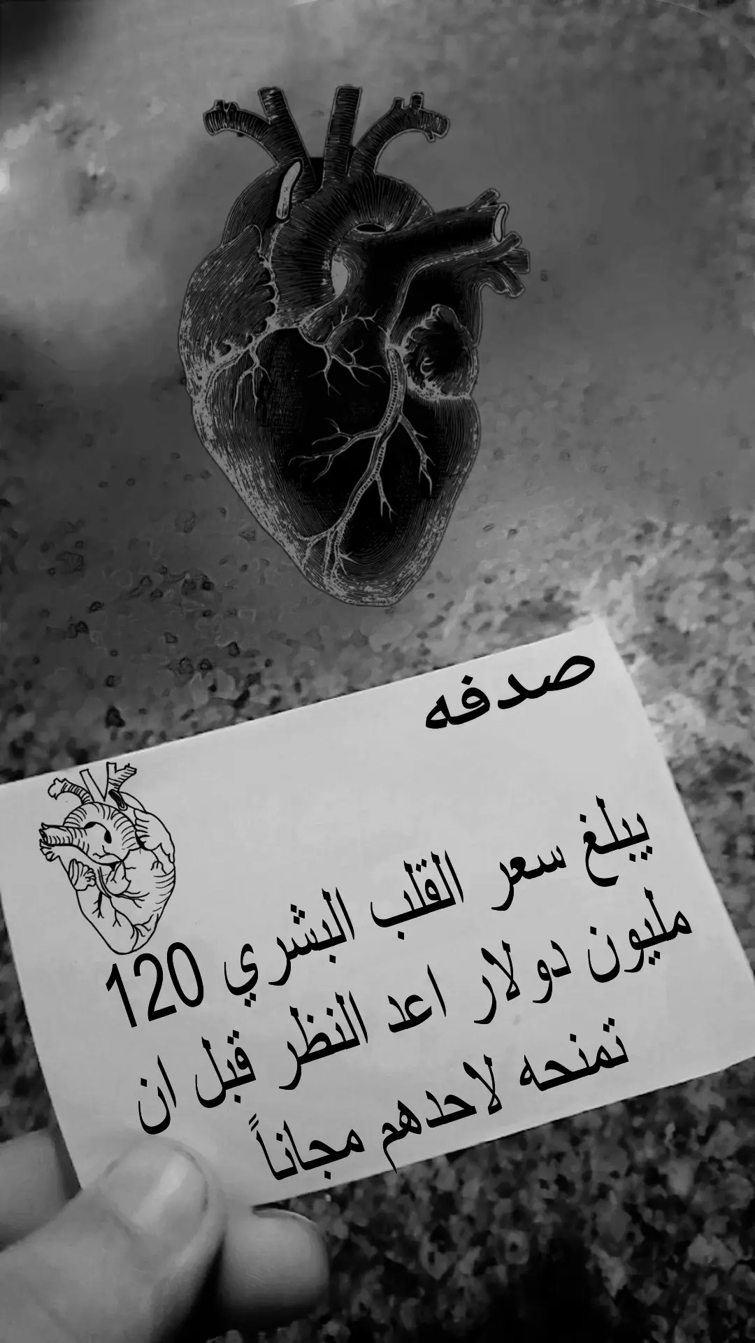 #قونيا________________قونيا😌💙 #صدفه❤️‍ 