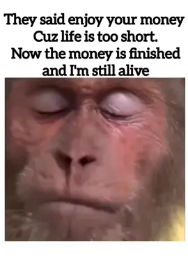 When you get paid before a big weekend. #Cooked #Survival 