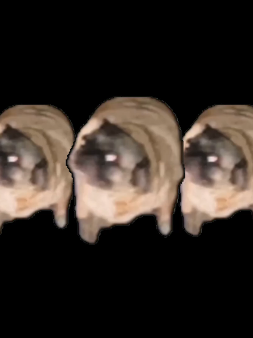 ¡Mucha Lucha! Intro (2002) #puglover #pugberto #pug #dance #multiverse #pc #ps5 #xbox #nintendo #android #ios #arcade #videogames #ost