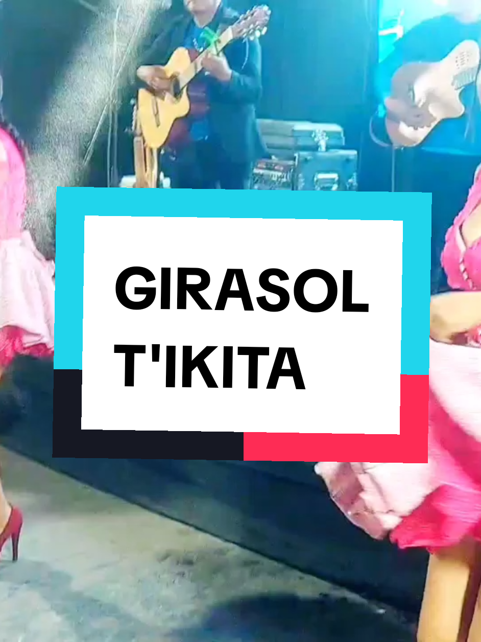 Girasol T'ikita@Nicolas Condori 