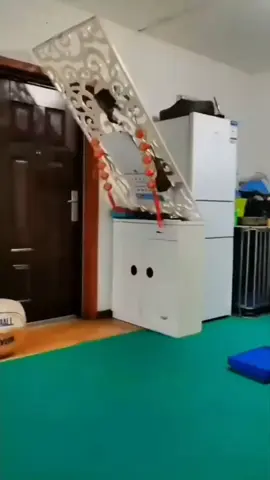 #foryou #pet #fyp #funnyvideos #viralvideo 