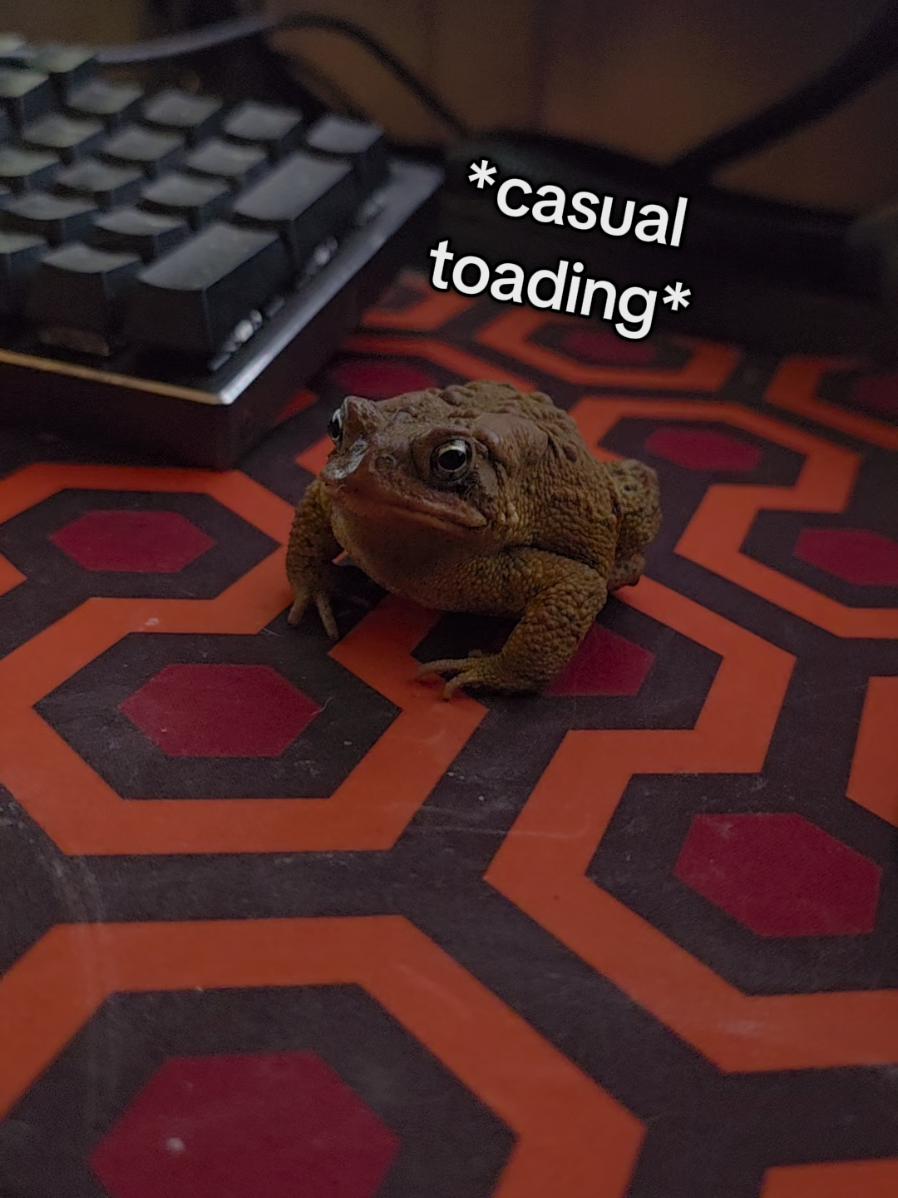 something something don't touch #toads something something had to save him from my dog something something he has returned to the yard something something #botheringmyhusband 