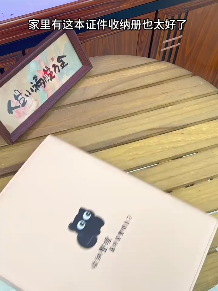 A4拉链证件收纳包，大小证件一本收纳#证件夹 #证件包 #收纳整理 #证件收纳 #收纳包#tiktokshop #fyp #好物分享