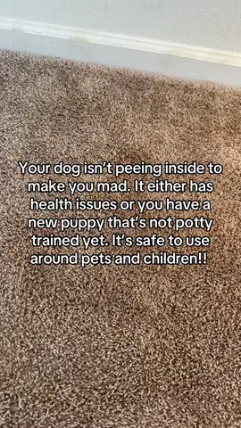 #urineremover #PetsOfTikTok #dogsoftiktok #newpuppyproblems  #stainremover 
