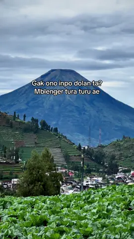 P Dieng,penting ora wacana🤪 #dieng #fyp #dieng24jam #jawateng #jawapride 