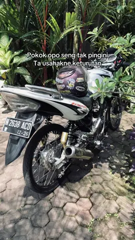 #tigermalangselatan #tigergank🚀 #hondagank #tigergankmalang 