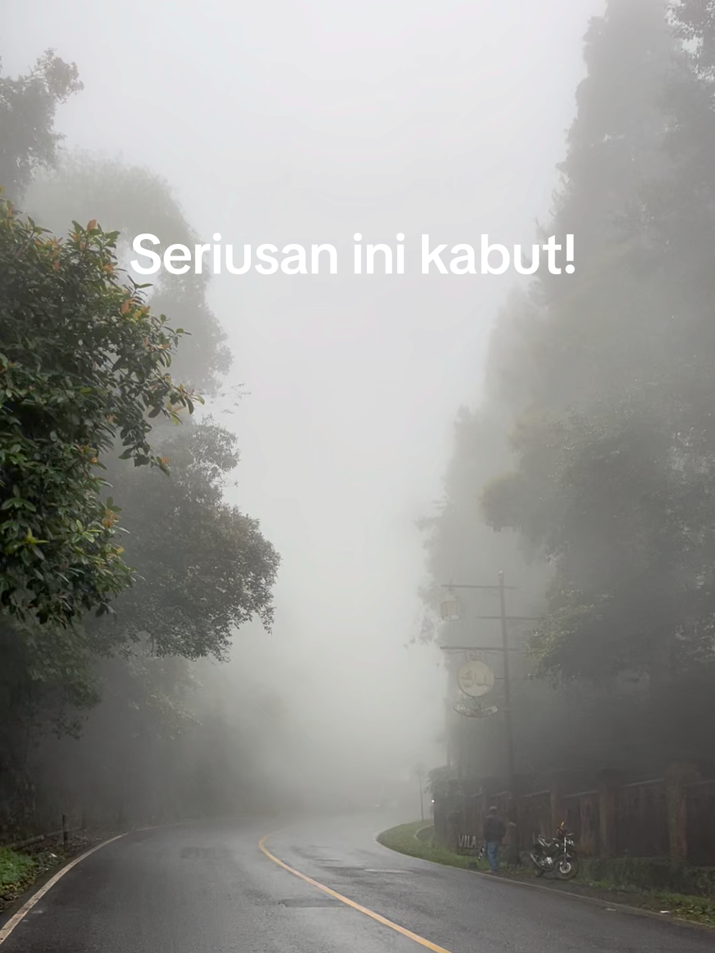 Pelan-pelan ngelewatin jalanan yang diselimuti kabut. Udara sejuk, ademnya nyampe ke hati. Nggak ada suara bising, cuma mesin motor pelan dan desahan angin yang dingin tapi nagih. Rasanya kayak lagi di film, tapi ini nyata dan damai banget.  Jalan kayak gini bukan cuma buat dilalui, tapi dinikmati. ☺ #bogorhits #puncakbogor #motoran #wisatabogor #fypage 