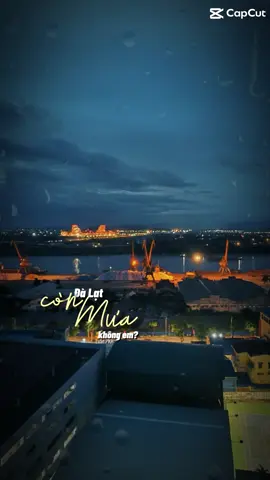 #hoa mimosa #đà lạt
