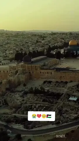 #palestine🇵🇸 #foryoupage #palestine #Gaza #islamic_video 