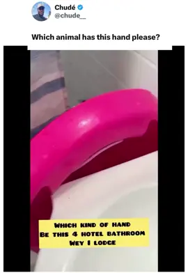 Which animal has this hand please? #themustwantedtv #trend #fyp #explore #viral  