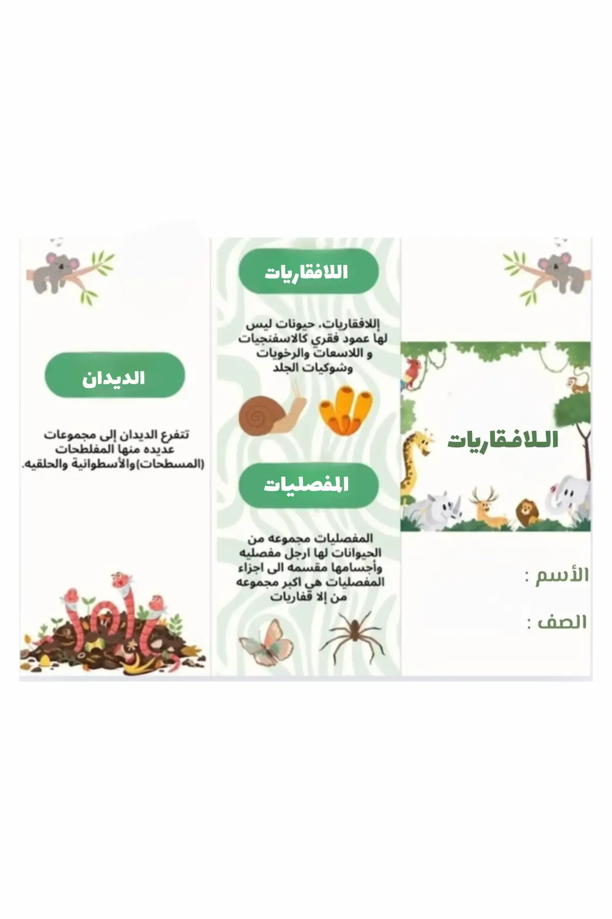 #لايك #trend #foryou #مطويات_علوم #اكسبلور #