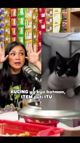 #CapCut benar dugaanku selama ini 🐱😭