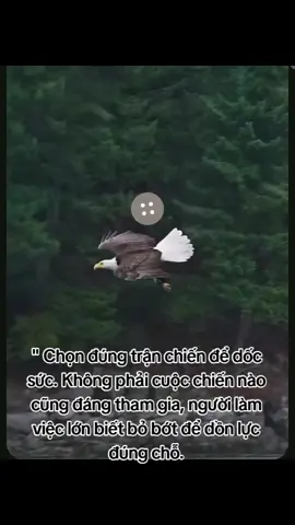 Khi bạn thoát khỏi phiên bản cũ của chính mình, bạn cũng thoát khỏi những người vẫn còn níu giữ phiên bản đó.
