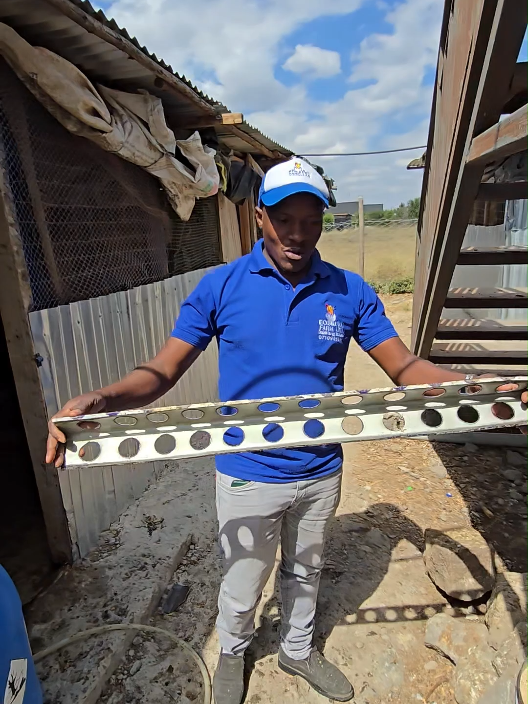 cleaning and disninfecting the poultry house before introducing a new stock of day old chicks. Place an order by calling 0710 905 696, or visiting us in Nairobi, along Outer-ring road we have improved Kienyeji breeds such as Kari, Kuroiler, Rainbow rooster and Sasso. Karibu Sana Eco Kuku #chicks #chicken #dayoldchick #improvedkienyeji #poultryfarming #kienyeji #poultry #kenyantiktok🇰🇪 #foryoupage