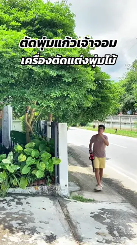 ตัดพุ่มแก้วเจ้าจอม เครื่องตัดแต่งพุ่มไม้ไร้สาย jumbo #เครื่องตัดแต่งพุ่มไม้ #เครื่องตัดแต่งพุ่มไม้ไร้สาย #เครื่องตัดพุ่มไม้ไร้สาย #สินค้าดังปังชัวร์ #ttsร้านใหม่ลดแรง 