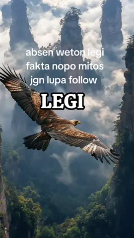 weton legi #fy #fypシ゚viral #fyppppppppppppppppppppppp 