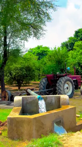 #پنجابی_کلچر🌾🍂 #panjabiculturephotography #tanveerhunjra1 #272hr #pindawalejatt 