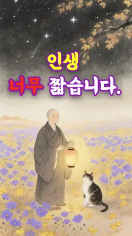 인생 너무 짧습니다 #인생조언 #황금명언 #자기연민 #인생짧다 