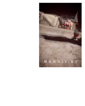 ساچیت منا بے سنگتی بے وارسی بے مردمی シ︎🖤  بھار زہری  FOLLOW @mandii.67 |✖️follow for more videos 📽 👉🏻LIKE❤️ &COMMENT📝👈🏻 👉🏻 SHARE REPOST🔂 👈🏻KEEP FOLLOWING ✅️