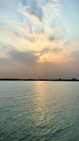 #صباح الخير