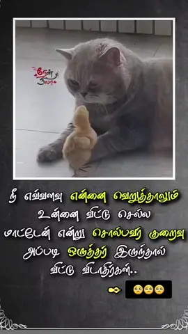 ##viwesproblem😌🙏💔 ....@சசிக்குமார் விதுஷிகா 6 