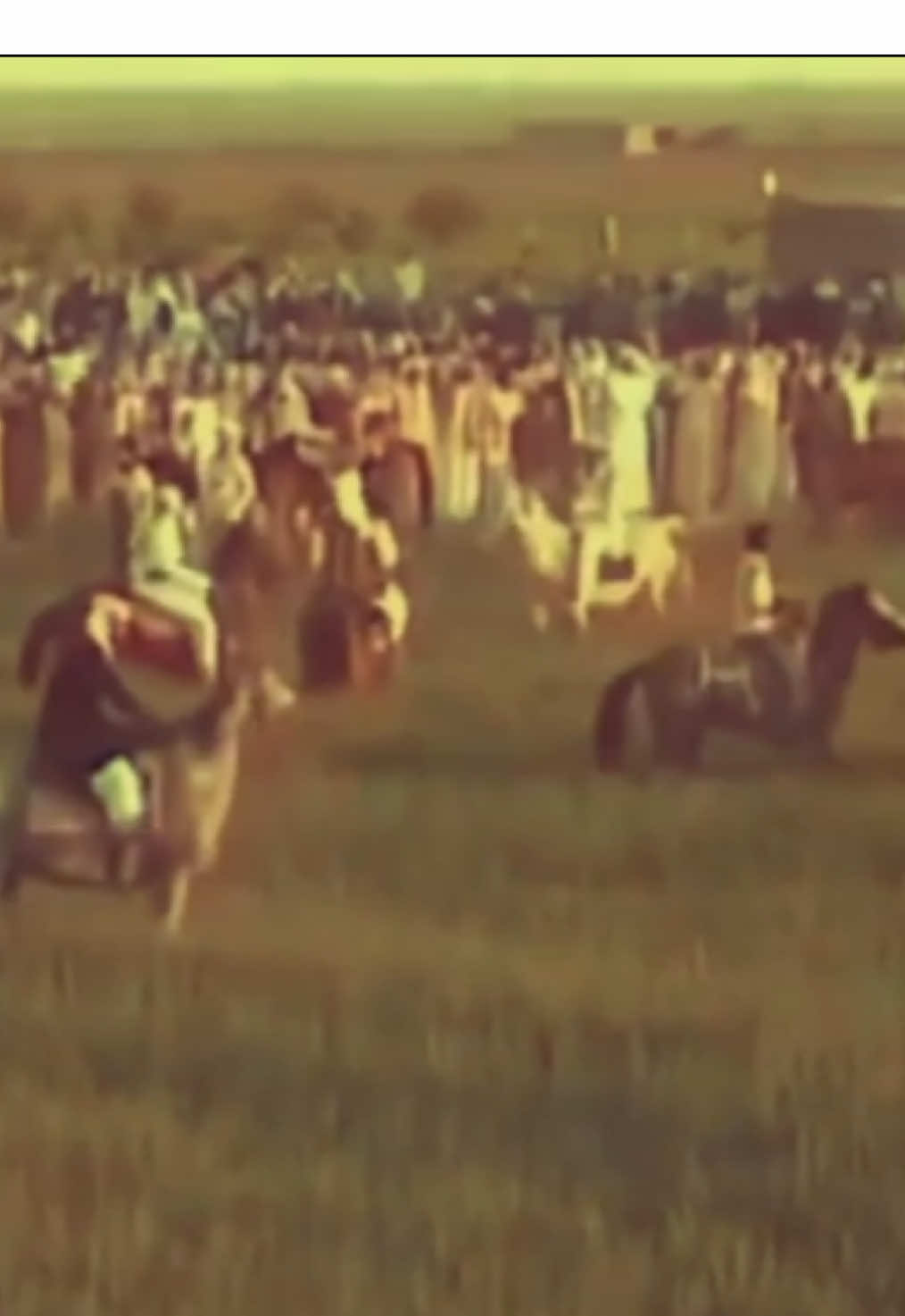زيارة لجنة الواهو لمضارب قبيلة شمر في الجزيرة عام 2007 م (مجلس غازي الهادي الجربا)  #شمر #الطنايا #waho 