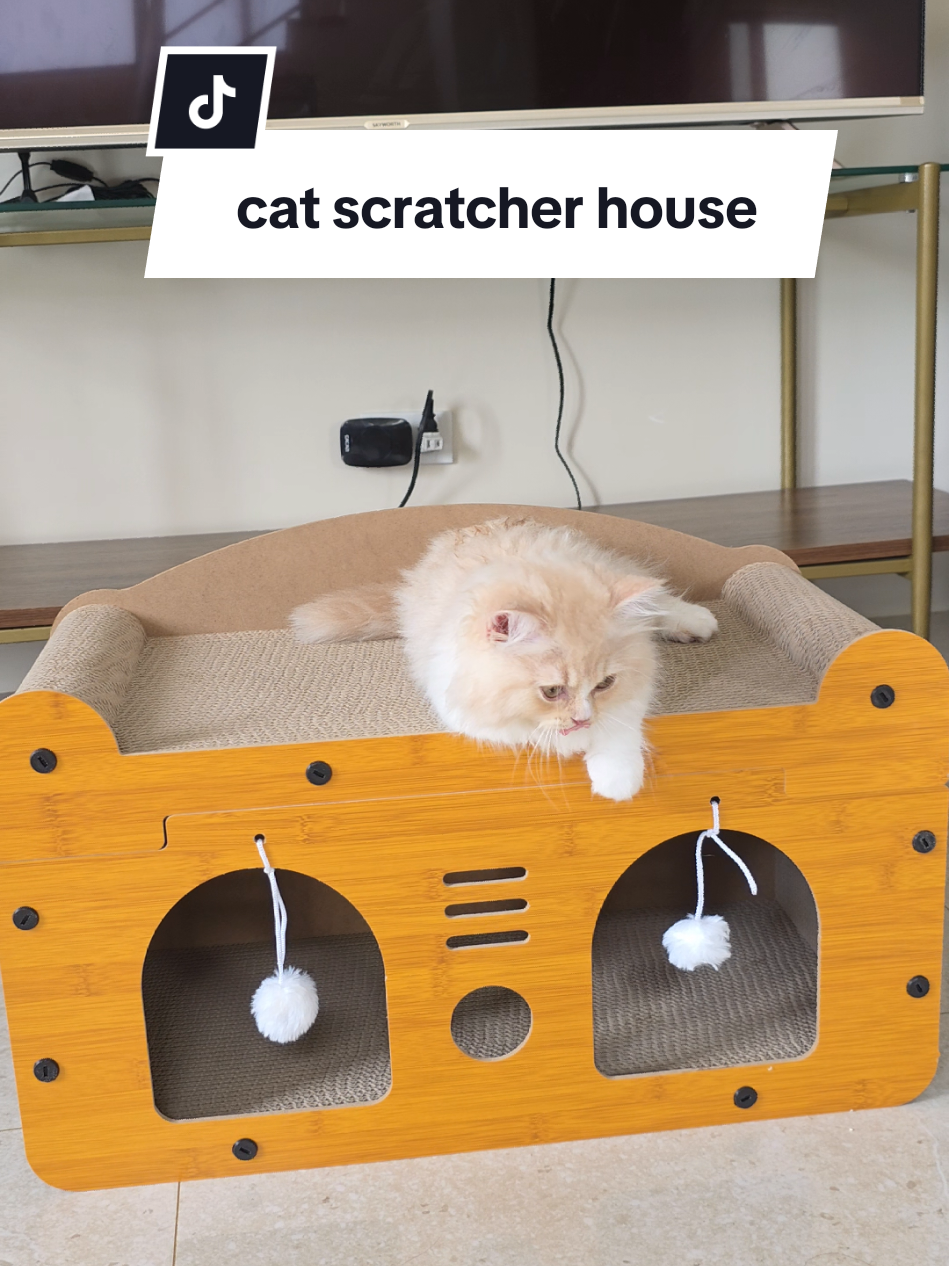 ang saya makitang nilalaro at ginagamit nya tong cat scratcher house *disclaimer: prices may vary after the promotion ends. #catscratcher #catscratchingboard #catscratchboard #catscratcherhouse #cathouse 