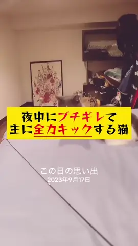 #思い出 