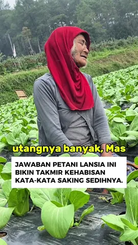 Nasib petani ketika harga anjlok🥺 #petani #magelang 