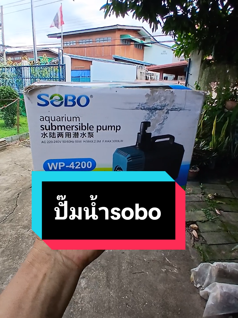 ปั๊มน้ำsoboปั๊มน้ำาำหรัยย่อปลาตู้ปลาน้ำพุน้ำตกบ่อกรองแรงดันน้ำดีน้ำไหลแรงเสม่ำเสมอ#ลุงเพียรคนแพร่ #sobota #ปั๊มน้ําตู้ปลา #นายหน้าtiktokshop #tiktokshopคีเอเตอร์ @ลุงเพียรคนแพร่ @ลุงเพียรคนแพร่ @ลุงเพียรคนแพร่ 