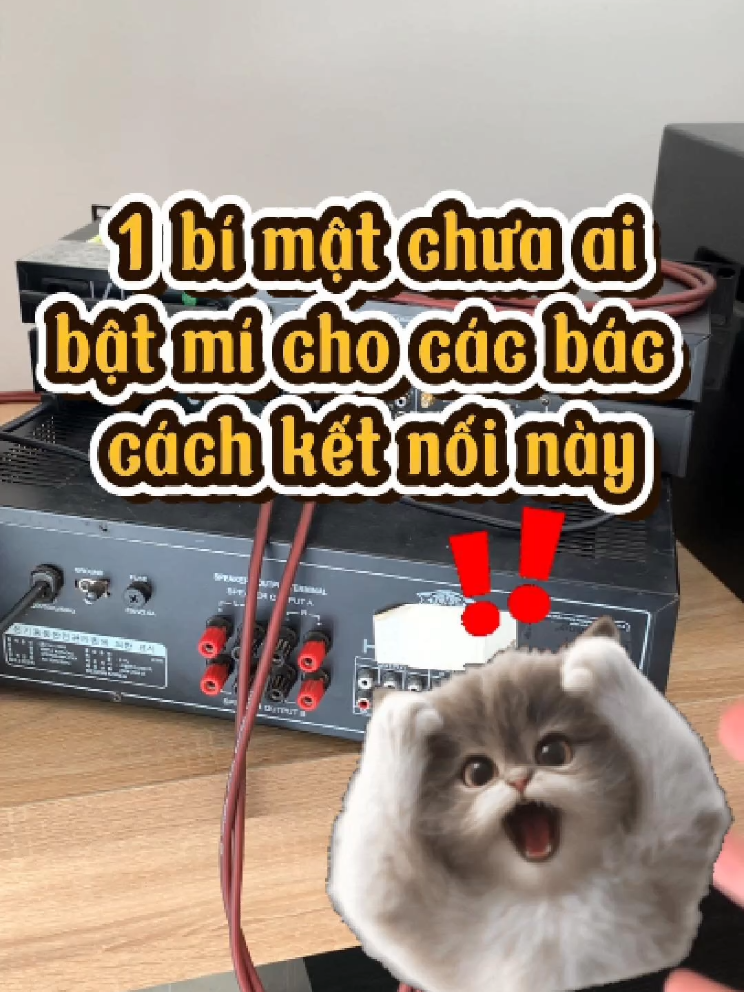 Kết nối độc lạ – Nâng tiếng chỉ chỉnh nhạc, vang chỉ chỉnh mic! Có ai hướng dẫn các bác cách này chưa nhỉ? Cực hay cho ai thích thử nghiệm: - Kết nối nâng tiếng vào đường nhạc (music in/out), chỉ dùng để chỉnh hiệu ứng nhạc nền cho dàn - Vang xử lý riêng cho tín hiệu micro, không qua nâng tiếng nữa Kết quả sẽ như nào? Các bác thử áp dụng rồi chia sẻ lại cảm nhận ngay dưới bài viết nhé, e hóng kinh nghiệm thực tế mọi người luôn! #HoangNamAudio #KetNoiSangTao #NangTieng #VangKaraoke #7Acoustic