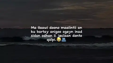 Ma ilaabi doono.🫂😭#veiwsproblem #writer_rohan #fypシ゚ #foryo #foryoupage 