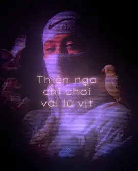Fact: Ẩn sau tấm màn cổ tích tưởng chừng trong veo , 
