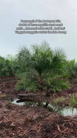 #petanisawit🌴 #petanisawitsukses #sawitunggul #🌴 #anakpetani #fypシ #fyp 