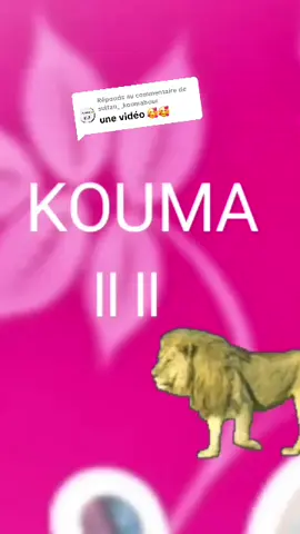 Réponse à @sultan__koumabour 