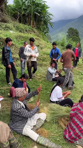केही बर्ष पहिले हामी पनी यसरी नै पिङको लट्ठा बाटिन्थ्यो। मधेसमा बाबियो लिन टाढा जानु पर्ने हुनाले।खरबारीमा सिरु काटेर ल्याईन्थ्यो।@Ram❤️Laxman @Surakshya Kc official @Unlucky Sujan आमा छोरी #fypシ゚ #foryoupage #tik_tok 