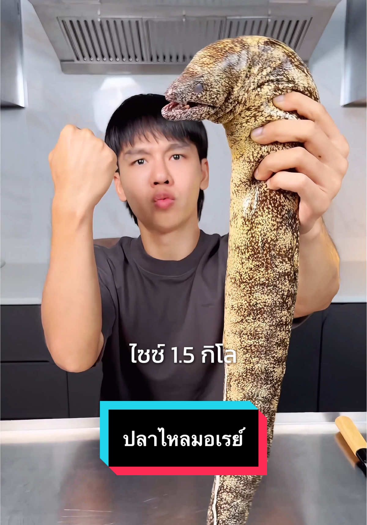 ปลาไหลมอเรย์ตุ๋นพริกจีน 🐟#seafood #moray #eel  