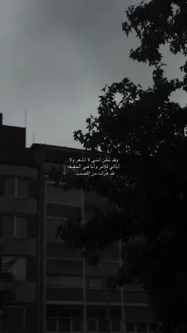 قد تظن.           #fyp #video #for #9cooe 