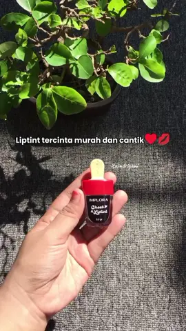 #liptint #implora #makeup #affiliatemarketing #fyp 