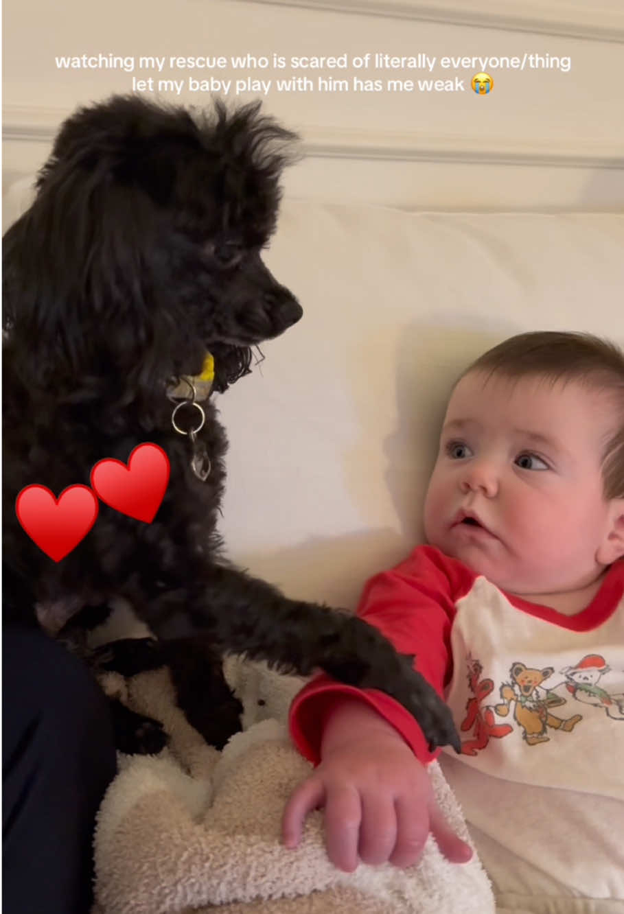 Dog love baby ❤️#dog #baby #Love #pet #cute #friends #lovestory #dogsoftiktok #foryou #usa🇺🇸 