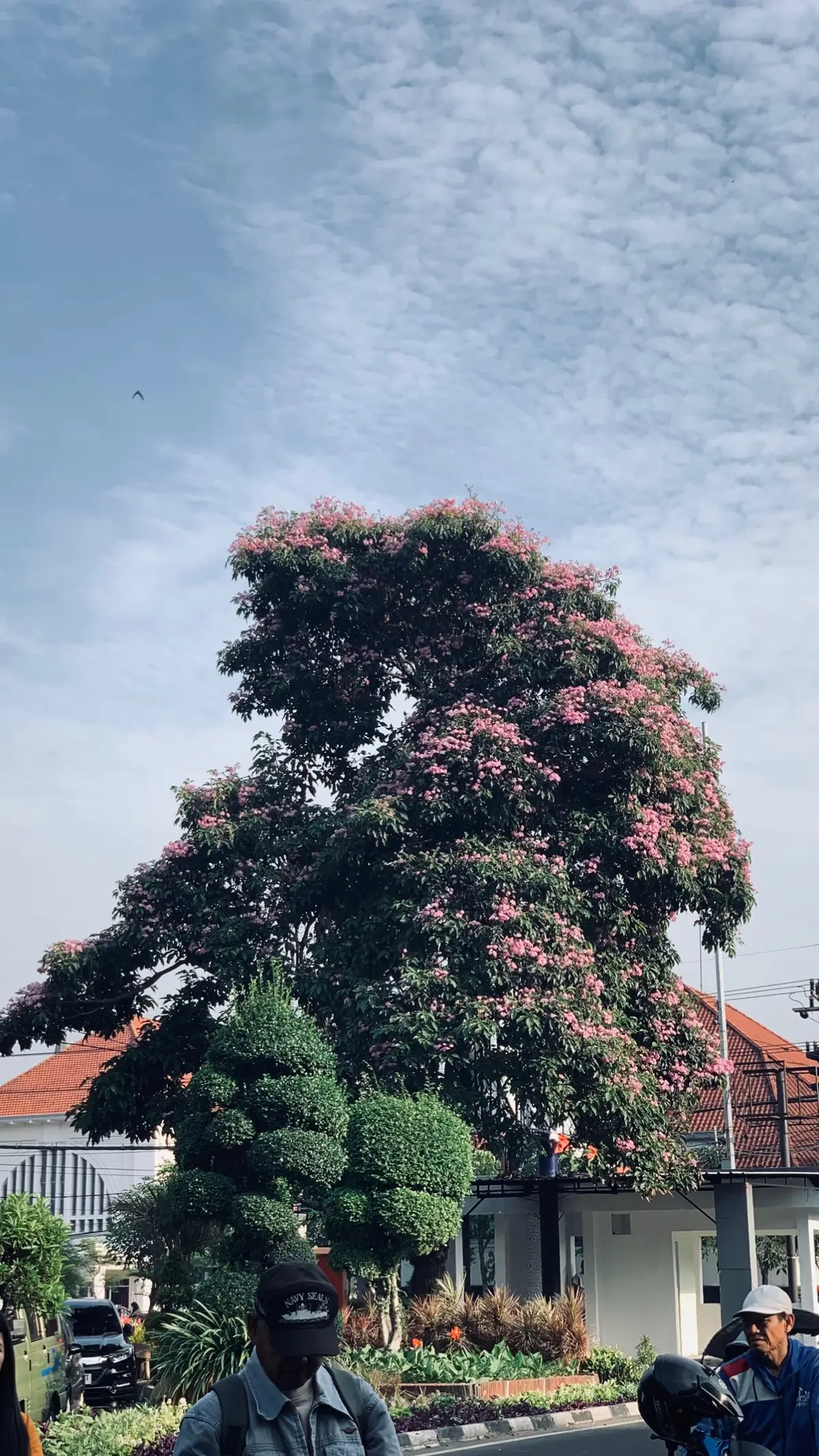 #surabaya 