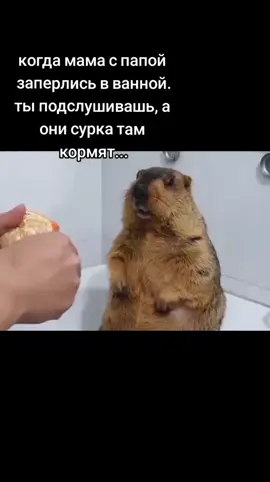 #жизажизненная 