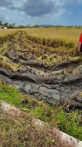 Jet sawah 😱 #combineharvester #dcx100 #petaniindonesia🇮🇩🇮🇩🇮🇩🌿🌿 #DCX #petanimilenialindonesia 