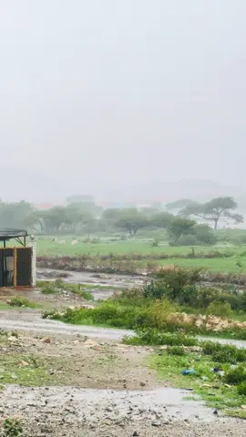 Borama Jano. #Awdal #CapCut #Somalia #somaliland 