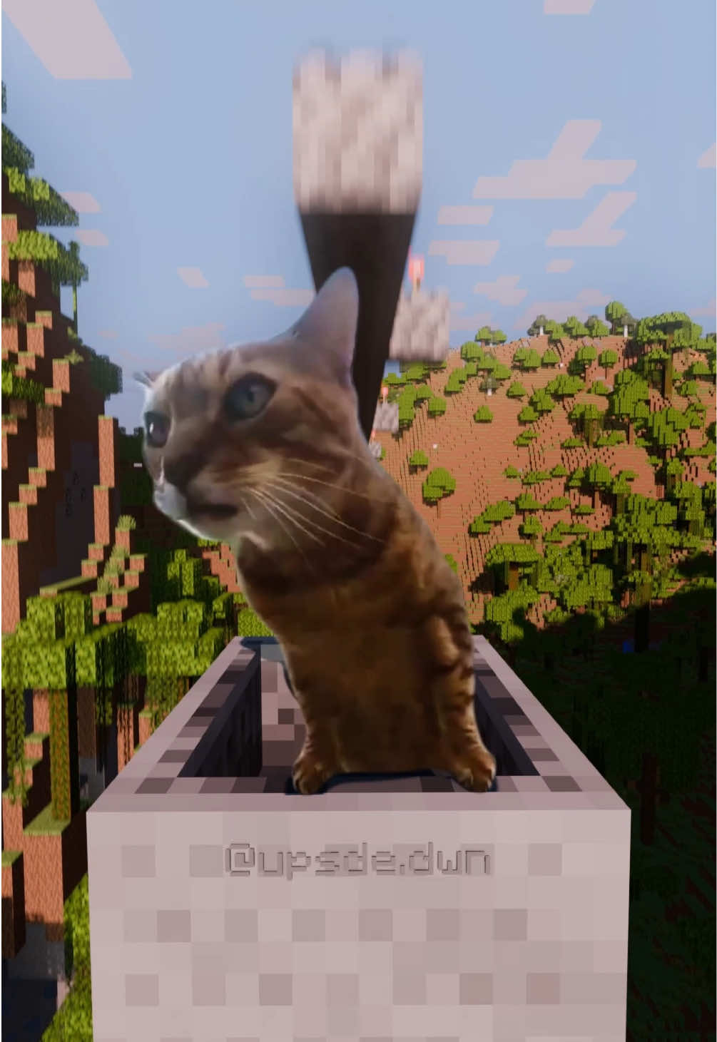 #Minecraft #cat #fyp #memestiktok #funnytiktok 