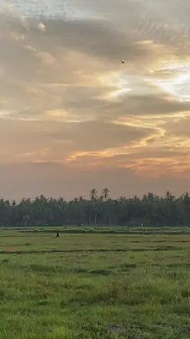 #putroeijo #putroeijomancing #layangtunangaceh🥰🥰 #fyp 