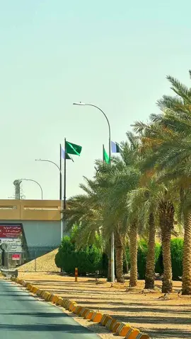 Saudi🫶🏻Pakistan 🇸🇦❤️🇵🇰#موسم_الرياض #اكسبلور #پشتون_تاجیک_هزاره_ازبک_زنده_باد🇦🇫 #forupage #الباكستاني #growaccount #الرياض_الان #تيك_توك #ترند #اكسبلور #موسم_الرياض 