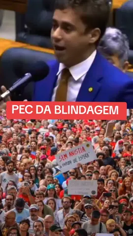 #CapCut Nikolas Ferreira vota a favor de mais proteção jurídica aos deputados.