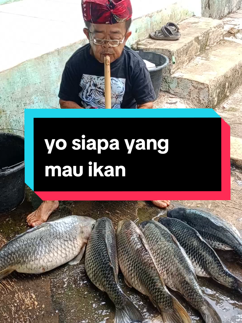 yo siapa yang mau ikan